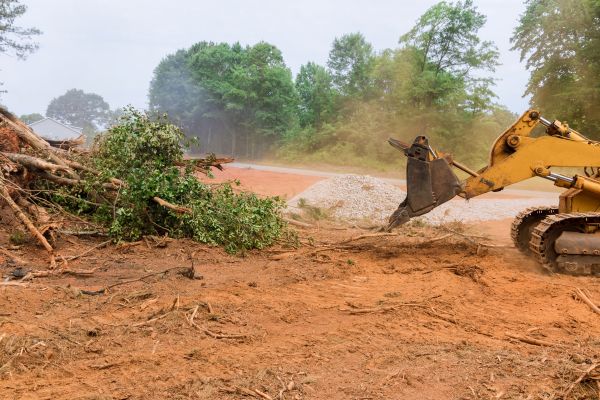 Ground Clearing in Littleton