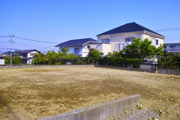 Cost of Lot Clearing Service in Littleton