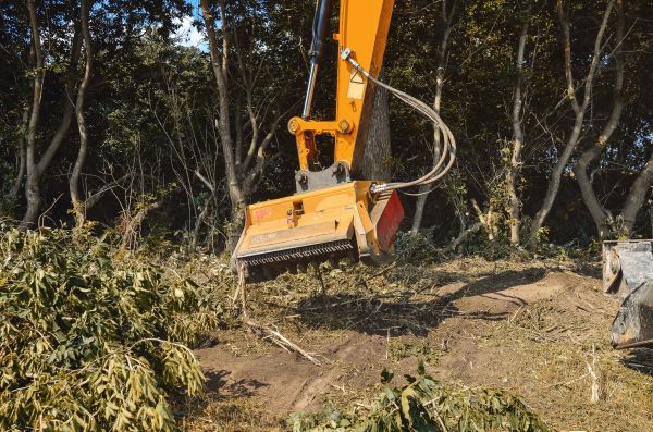 Brush Removal Service in Littleton