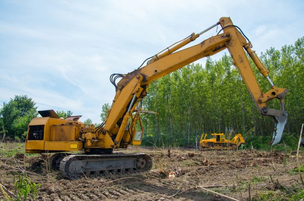 Cost of Farm Clearing in Littleton