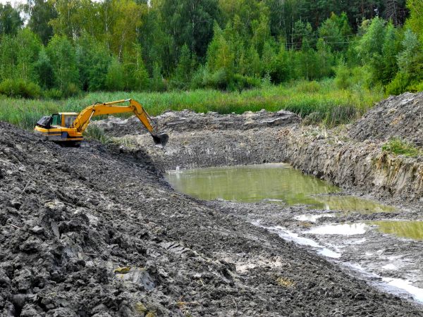 Cost of Lake Lot Clearing in Littleton