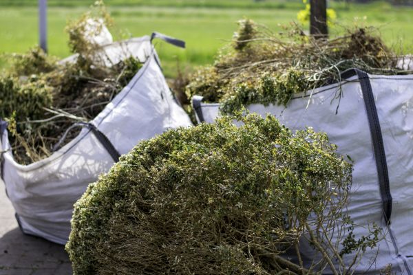 Cost of Bushes Clearing in Littleton