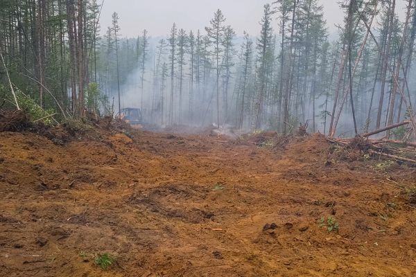 Cost of Hill Clearing in Littleton