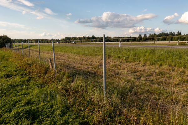 Cost of Property Line Clearing in Littleton