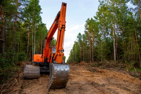 Cost of Backhoe Land Clearing in Littleton
