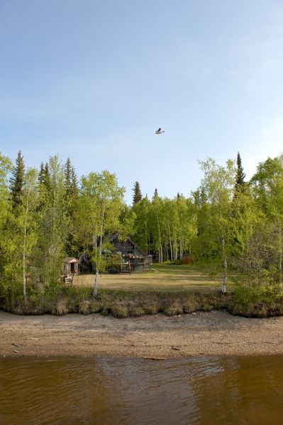 Cost of Waterfront Land Clearing in Littleton