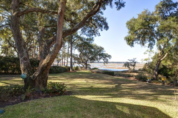 Cost of Lakefront Property Clearing in Littleton