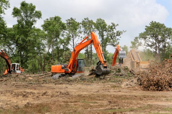 Cost of Commercial Lot Clearing in Littleton