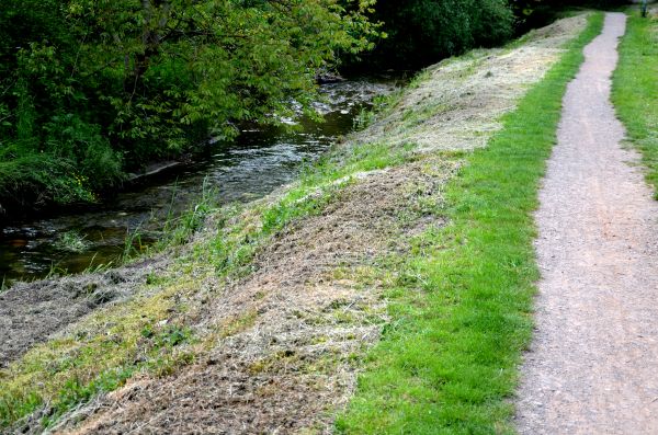Cost of Trail Cutting in Littleton