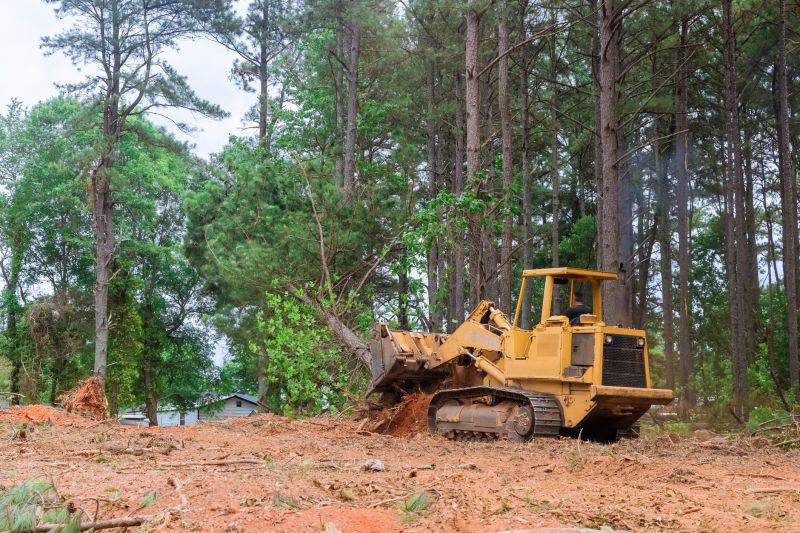 Building Site Clearing