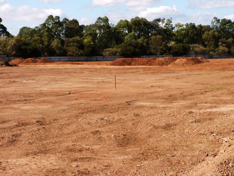 Building Site Clearing
