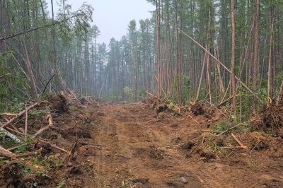 Land Clearing