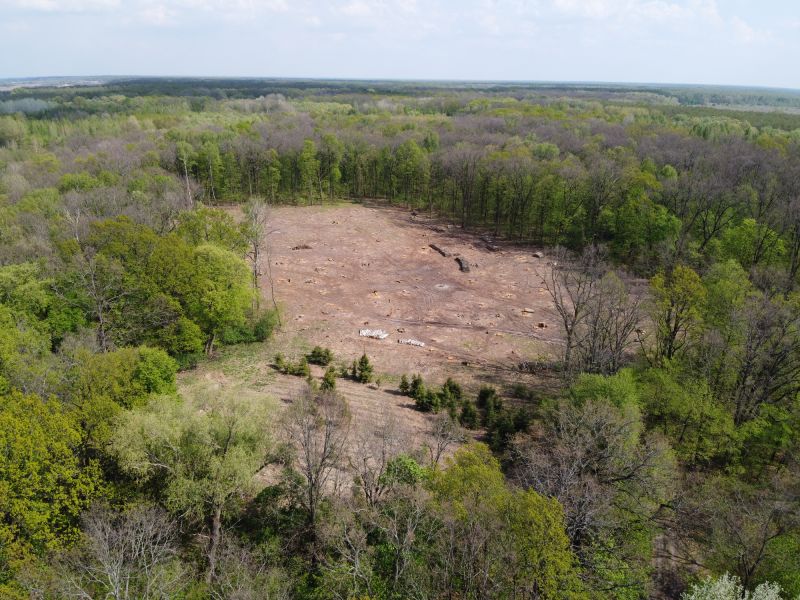 Land Clearing