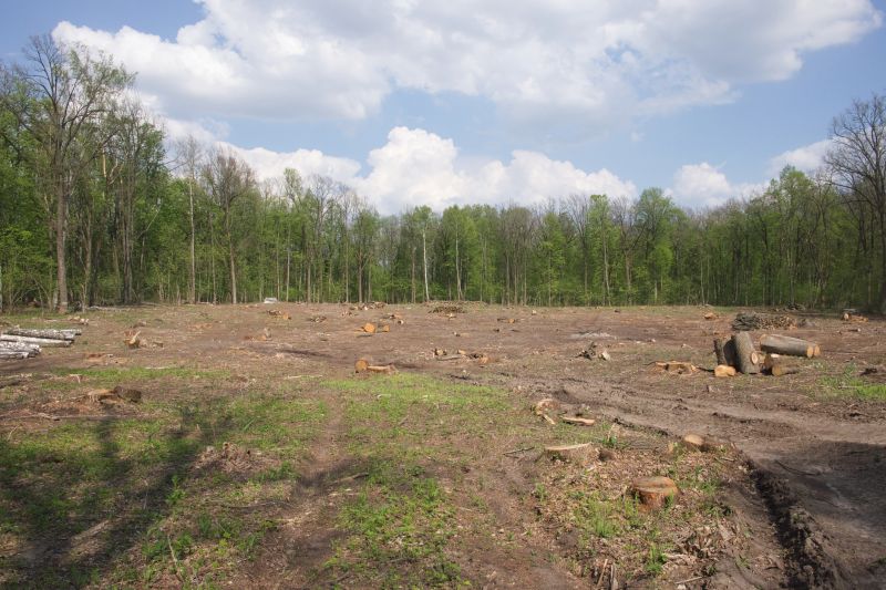 Land Clearing