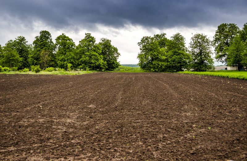 Land Clearing